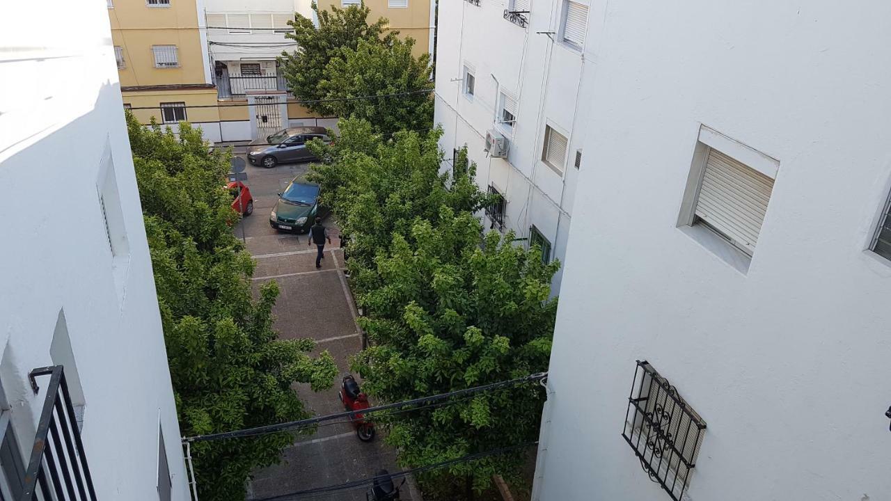 Acogedor Apartamento En El Barrio Del Parlamento De Andalucia 세비야 외부 사진
